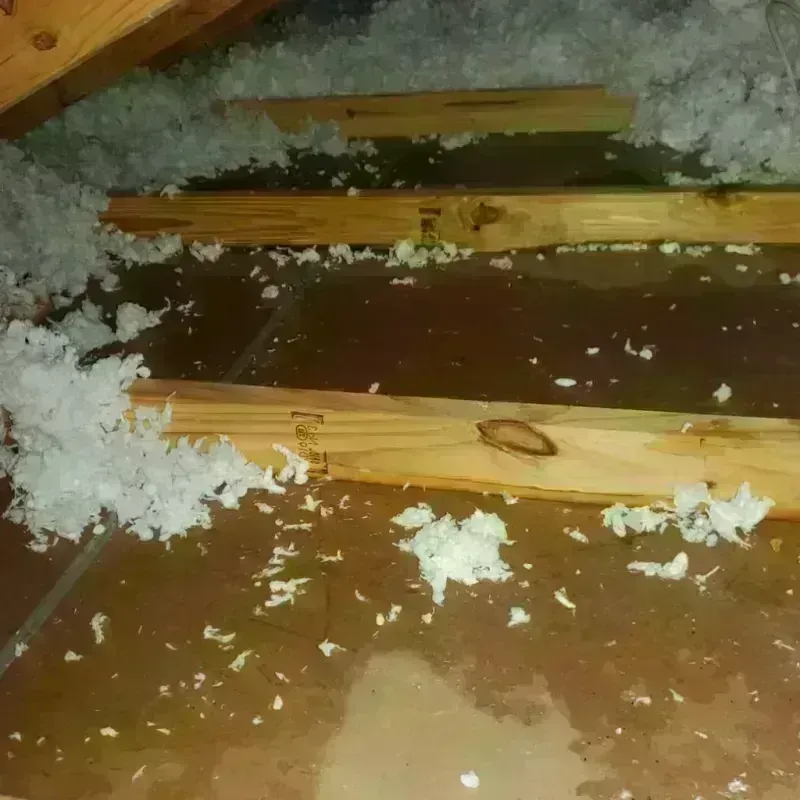 Attic Water Damage in Allison, IA