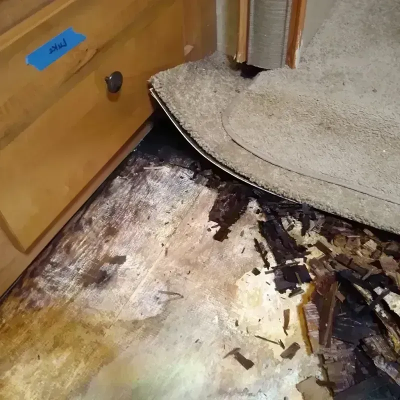 Wood Floor Water Damage in Allison, IA